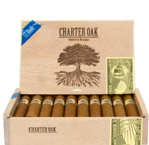 Charter Oak CT Shade (Foundation)