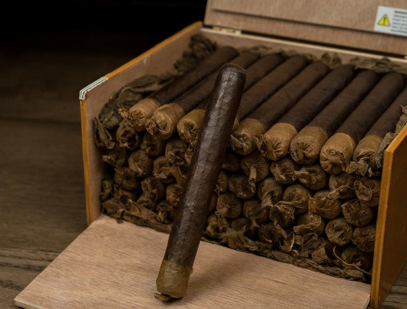 Persian King Imperial Maduro- Tiger by Gran Habano